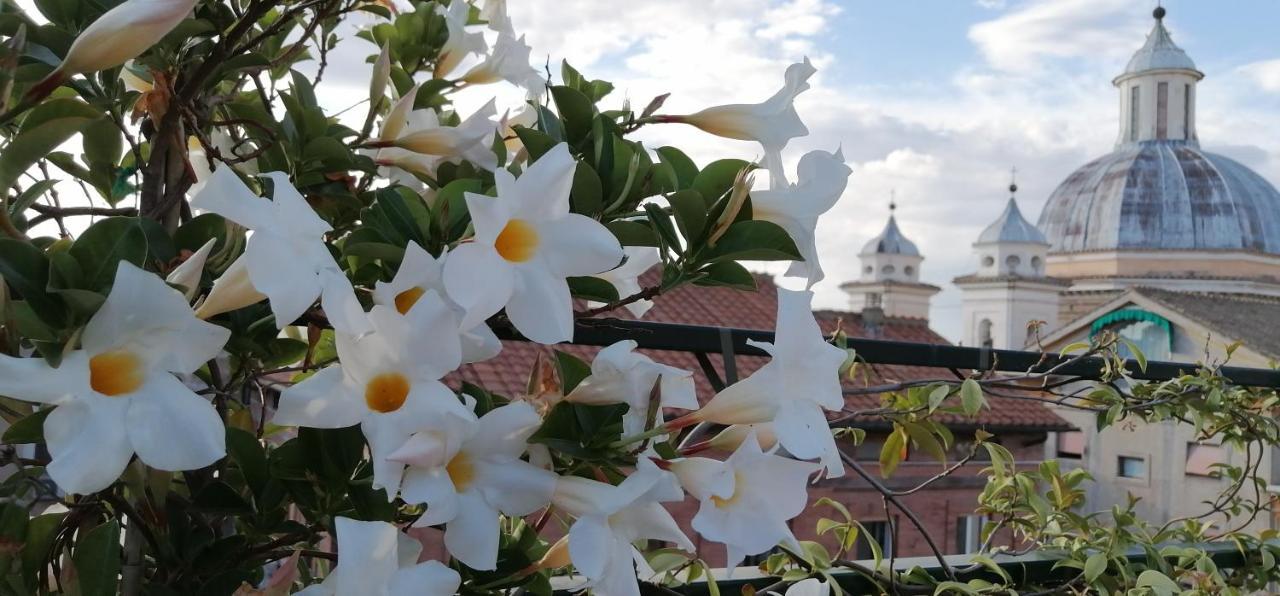 Una Favolosa Terrazza Nel Centro Di Roma Bagian luar foto